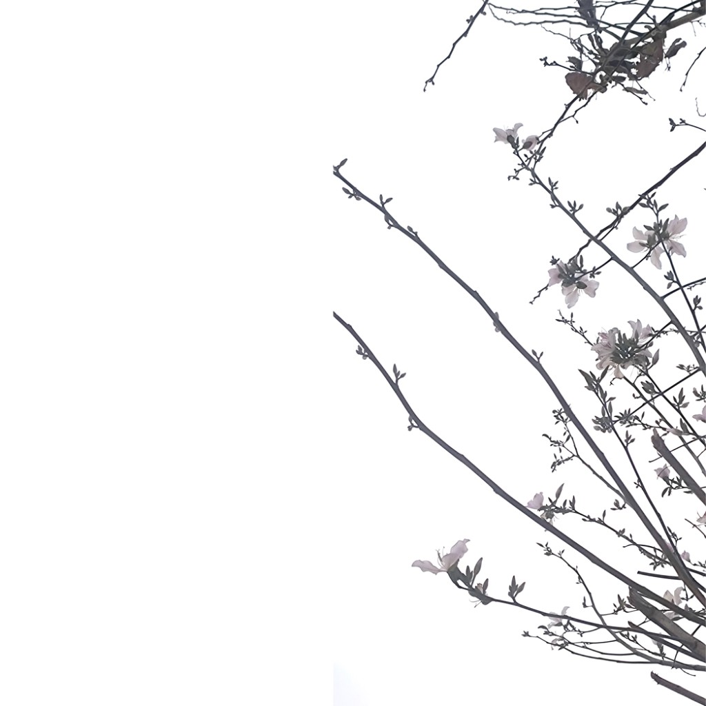 Seasonal detail at RAYO